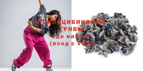 дурь Белокуриха