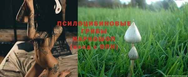 дурь Белокуриха