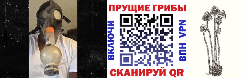 Псилоцибиновые грибы мицелий  Сызрань 